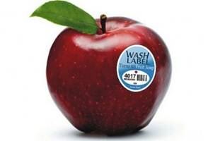 label on apple label on apple